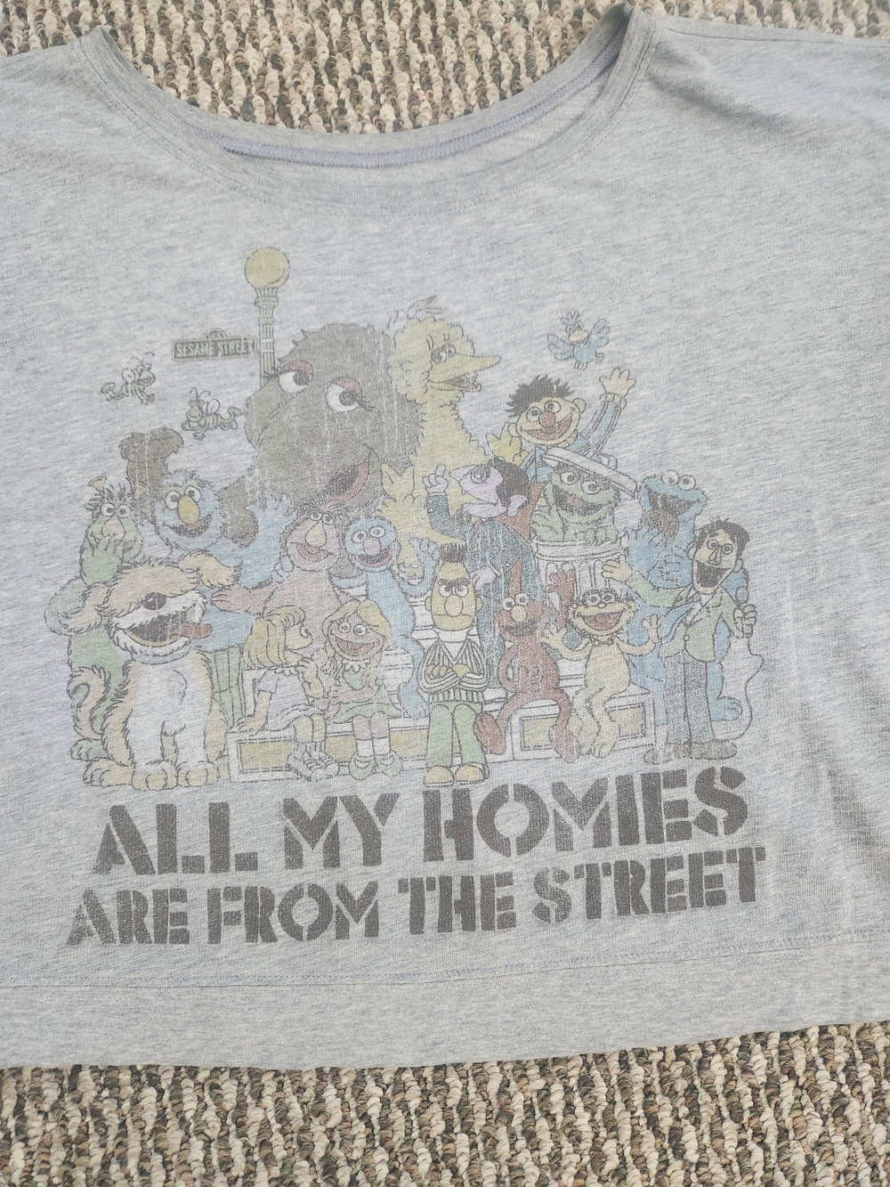 Sesame Street 'All My Homies Are From The Street' Graphic Sweater Streetwear